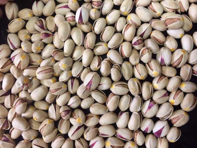 خرید پسته احمد آقایی + قیمت فروش استثنایی